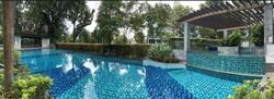 The Solitaire (D10), Condominium #521127731
